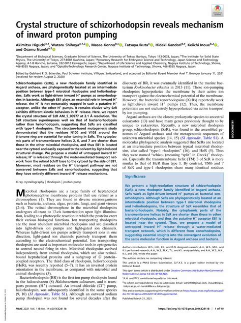 szrs nuni|Crystal structure of schizorhodopsin reveals mechanism of